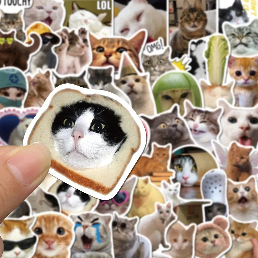 Korean Aesthetic Cat Stickers - Kawaii Stationery Set (10/30/50 PCS)